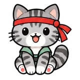고등어 냥이