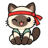샴 냥이